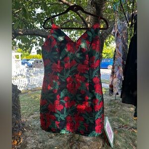 Lulus Floral Dress